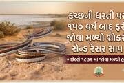Aajkaal Daily (Desh Pardesh Ni Aajkaal)